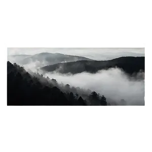 Black And White Fog Overlay PNG 06282024 PNG