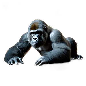 Black And White Gorilla Png 45 PNG image