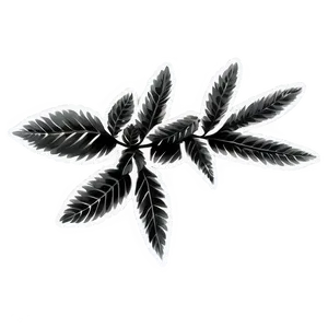 Black And White Laurel PNG 06262024