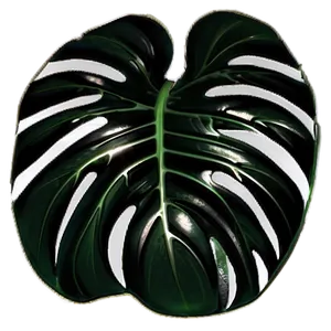 Black And White Monstera PNG Tew PNG