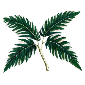 Black And White Palm Leaves PNG 11 PNG