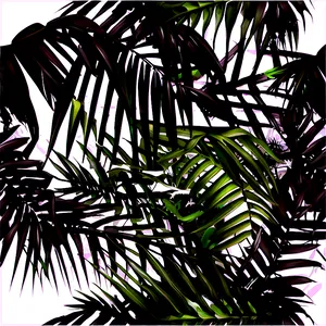 Black And White Palm Leaves PNG Xil40 PNG