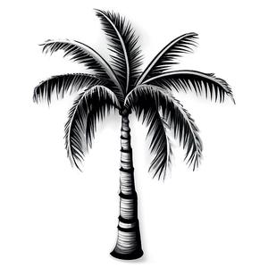 Black And White Palm Tree Emoji PNG Edd47 PNG