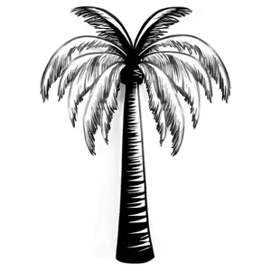 Black And White Palm Tree Emoji PNG Tyl PNG