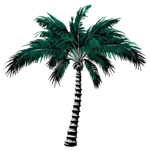 Black And White Palm Tree Png 53 PNG image