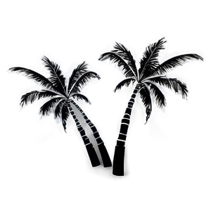 Black And White Palm Trees PNG 05042024