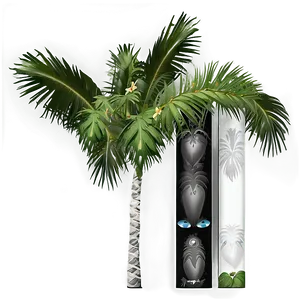 Black And White Palms Png 06112024 PNG image