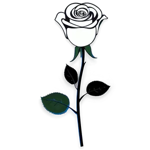 Black And White Rose Art Png 06132024 PNG image