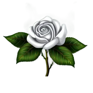 Black And White Rose Art Png 06132024 PNG image