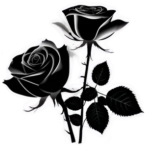 Black And White Roses Png 06282024 PNG image