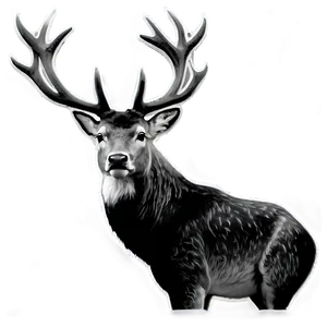 Black And White Stag PNG 06292024