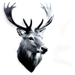 Black And White Stag PNG Kki PNG