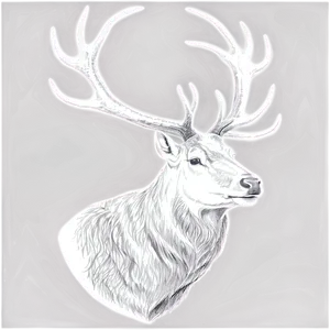 Black And White Stag PNG Rkq
