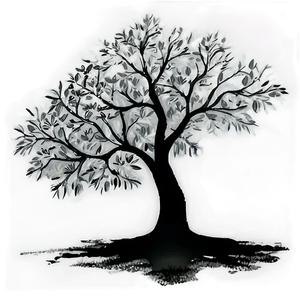 Black And White Tree A