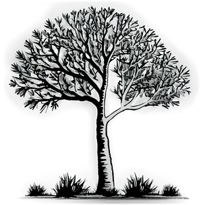 Black And White Tree B PNG