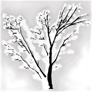 Black And White Tree Branches PNG 8 PNG