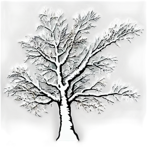 Black And White Tree C PNG