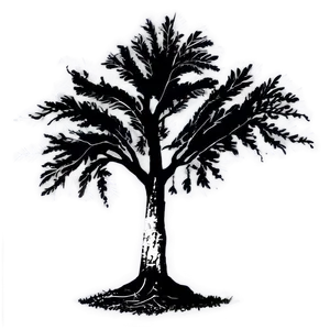 Black And White Tree D PNG