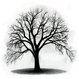 Black And White Tree In Fog Png 06252024 PNG image