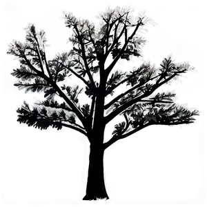 Black And White Tree In Urban Landscape PNG 06252024