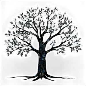 Black And White Tree With Detailed Branches Png 06252024 PNG image