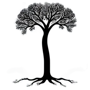 Black And White Tree With Detailed Branches PNG 87 PNG