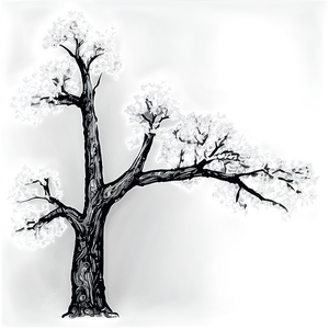 Black And White Tree With Detailed Branches PNG Fob83 PNG