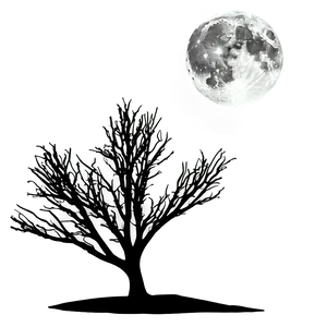 Black And White Tree With Full Moon Png 06252024 PNG image