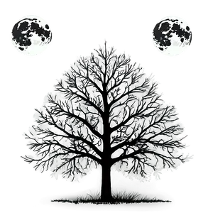 Black And White Tree With Full Moon Png 35 PNG image