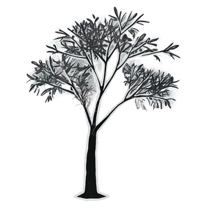 Black And White Tree With Sparse Leaves PNG 06252024 PNG