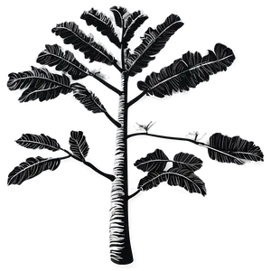 Black And White Tree With Sparse Leaves PNG Npq PNG