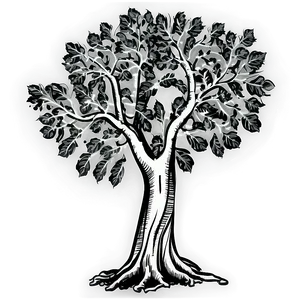 Black And White Tree With Sparse Leaves PNG Pti96 PNG