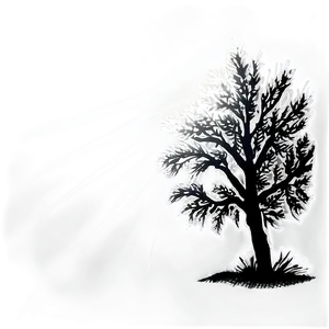 Black And White Tree With Sun Rays PNG 06252024 PNG