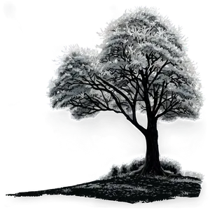 Black And White Trees Scenery Png 1 PNG image