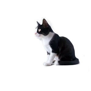 Black And White Tuxedo Cat Png 06262024 PNG image