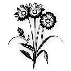 Black And White Wildflower Png 21 PNG image