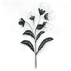 Black And White Wildflower Png 59 PNG image