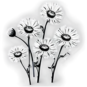 Black And White Wildflowers PNG 06282024