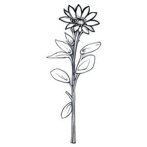 Black And White Wildflowers PNG Wgy36 PNG