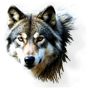 Black And White Wolf Face PNG 79 PNG