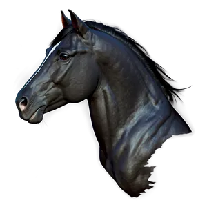 Black Andalusian Horse Beauty PNG 06262024
