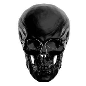 Black Background Human Skull PNG image
