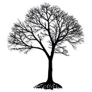 Black Bare Trees PNG 06292024
