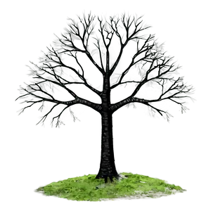 Black Bare Trees PNG Tts PNG