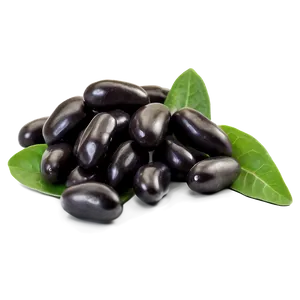 Black Bean Closeup PNG Tws73