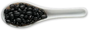 Black Beansin White Spoon PNG image