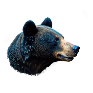Black Bear Head PNG 74