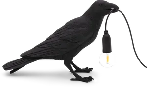 Black Bird Holding Light Bulb PNG image