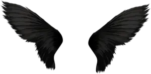 Black Bird Wings Spread PNG image