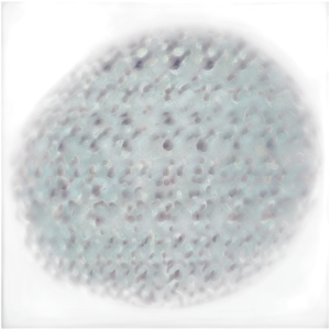 Black Blur Spot PNG Jhe